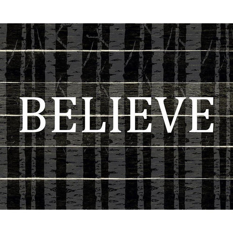 Believe Aspens Black Modern Wood Framed Art Print with Double Matting by Allen, Kimberly