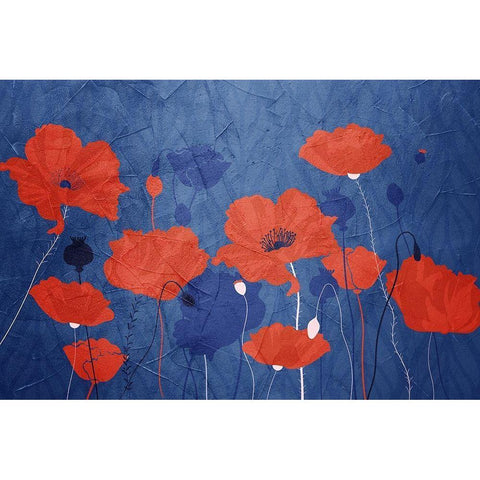 Classic Blue Poppies White Modern Wood Framed Art Print by Allen, Kimberly