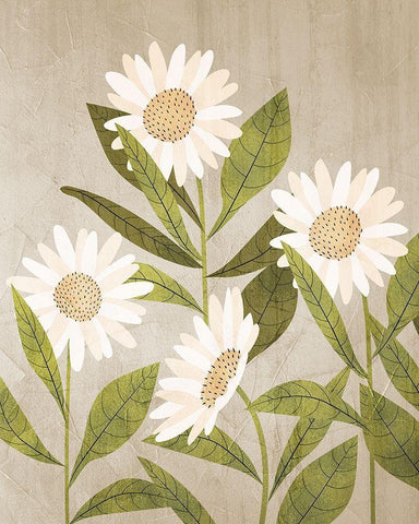 Daisies 1 White Modern Wood Framed Art Print with Double Matting by Allen, Kimberly