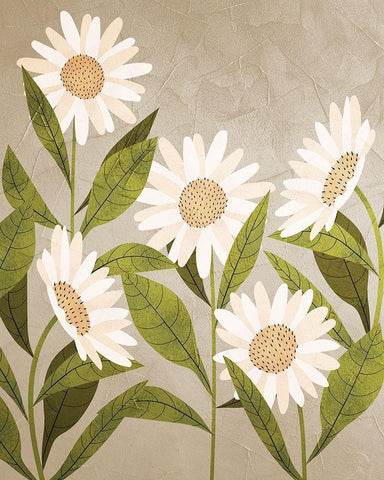 Daisies 2 White Modern Wood Framed Art Print with Double Matting by Allen, Kimberly