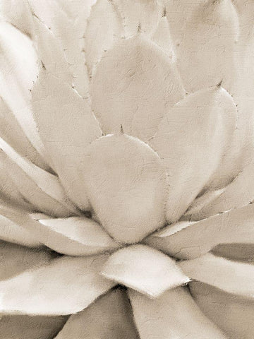 Agave Neutral 1 White Modern Wood Framed Art Print with Double Matting by Allen, Kimberly