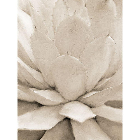 Agave Neutral 1 Black Modern Wood Framed Art Print with Double Matting by Allen, Kimberly