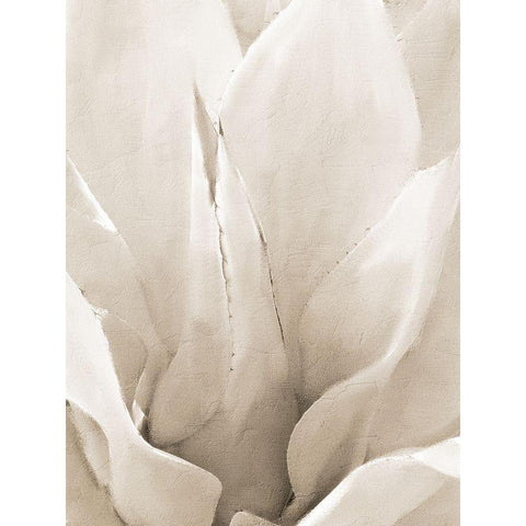 Agave Neutral 2 Gold Ornate Wood Framed Art Print with Double Matting by Allen, Kimberly