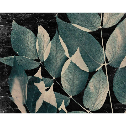 Dusty Leaves 2 Black Modern Wood Framed Art Print with Double Matting by Allen, Kimberly