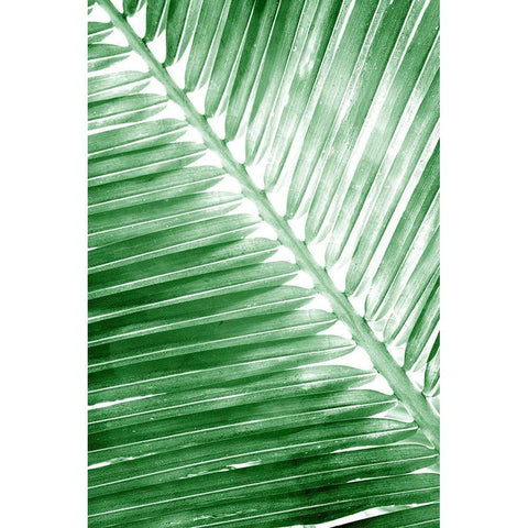 Tropical 2 White Modern Wood Framed Art Print by Allen, Kimberly