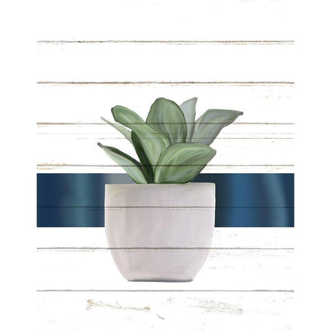 Pots 2 White Modern Wood Framed Art Print by Allen, Kimberly