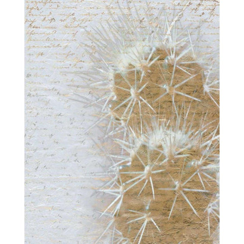 Desert Cacti 2 Gold Ornate Wood Framed Art Print with Double Matting by Allen, Kimberly