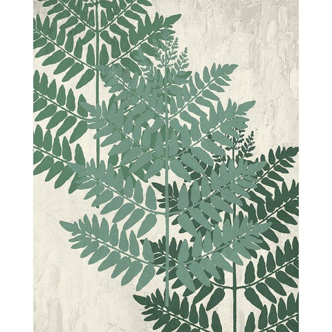 Fern 1 Greens White Modern Wood Framed Art Print by Allen, Kimberly