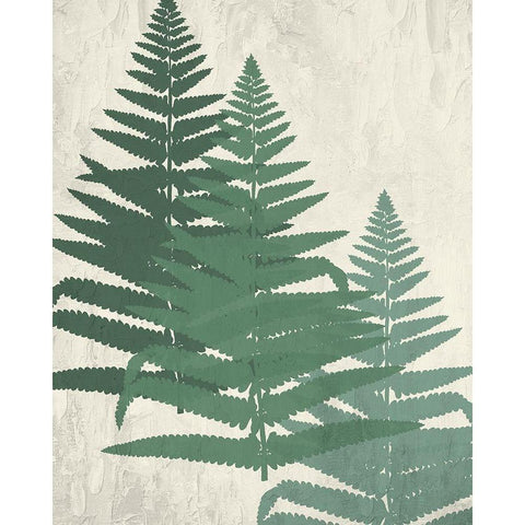 Fern 2 Greens White Modern Wood Framed Art Print by Allen, Kimberly