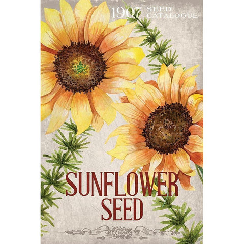 Sunflower Seeds Gold Ornate Wood Framed Art Print with Double Matting by Allen, Kimberly