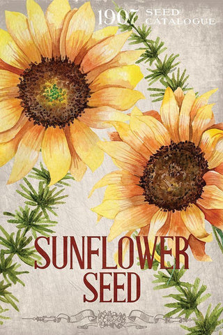 Sunflower Seeds Black Ornate Wood Framed Art Print with Double Matting by Allen, Kimberly