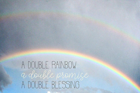 Double Rainbow Black Ornate Wood Framed Art Print with Double Matting by Allen, Kimberly