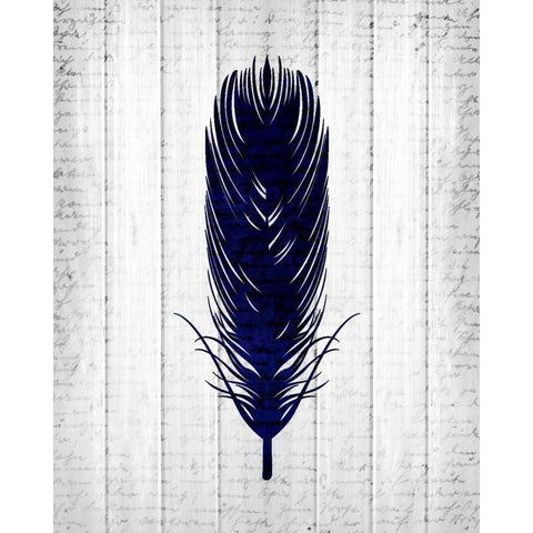 Feathered 1 Black Modern Wood Framed Art Print with Double Matting by Allen, Kimberly