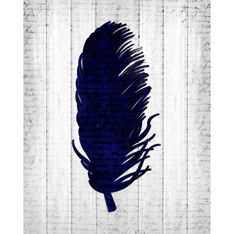 Feathered 3 Black Modern Wood Framed Art Print by Allen, Kimberly