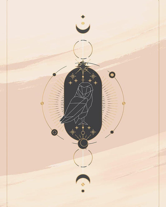 Image Only
