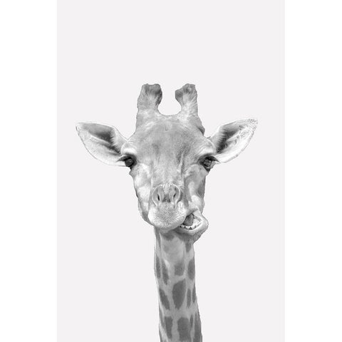 Quirky Giraffes 2 Black Modern Wood Framed Art Print with Double Matting by Allen, Kimberly