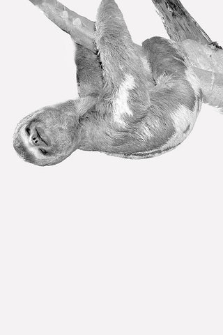 Quirky Sloths 3 Black Ornate Wood Framed Art Print with Double Matting by Allen, Kimberly