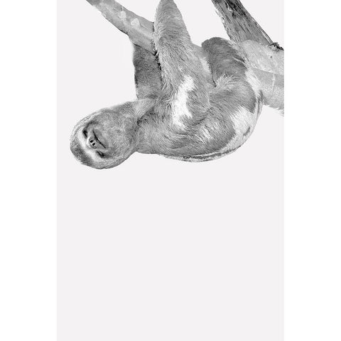 Quirky Sloths 3 Gold Ornate Wood Framed Art Print with Double Matting by Allen, Kimberly