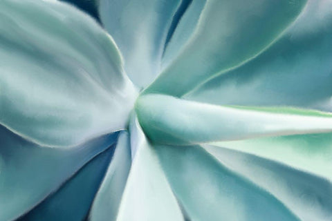 Agave White Modern Wood Framed Art Print with Double Matting by Allen, Kimberly