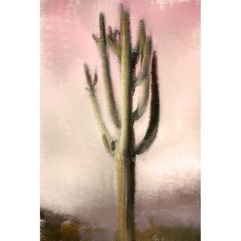 Cacti Black Modern Wood Framed Art Print with Double Matting by Allen, Kimberly