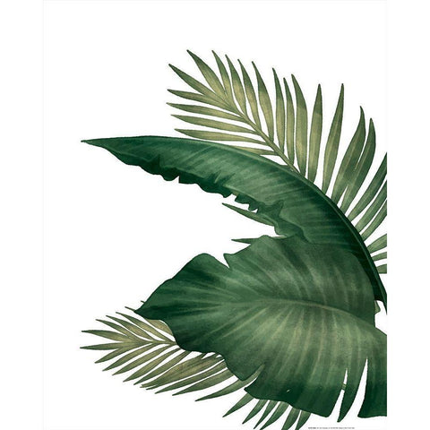 Palms 3 White Modern Wood Framed Art Print by Allen, Kimberly