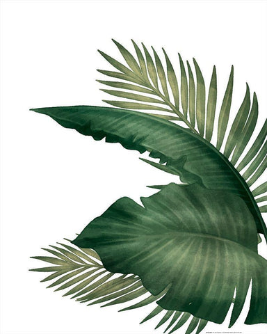 Palms 3 Black Ornate Wood Framed Art Print with Double Matting by Allen, Kimberly