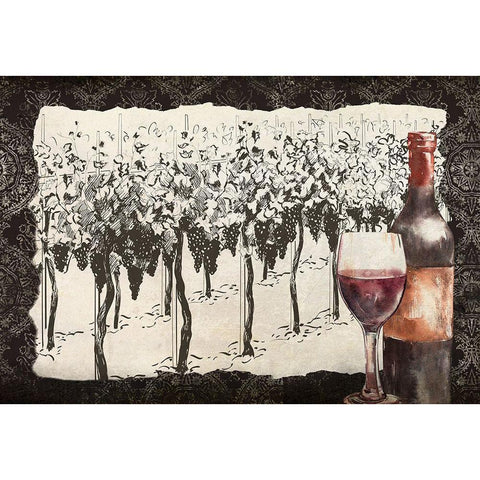 Vineyard View 7 White Modern Wood Framed Art Print by Allen, Kimberly