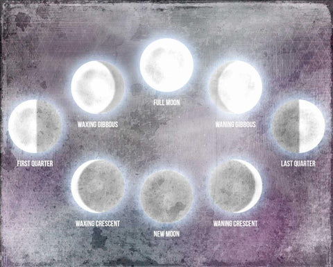 Phases of the Moon Black Ornate Wood Framed Art Print with Double Matting by Allen, Kimberly