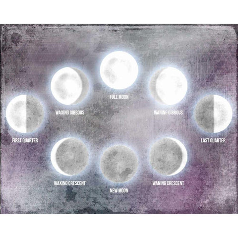 Phases of the Moon Black Modern Wood Framed Art Print by Allen, Kimberly