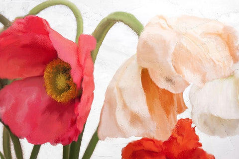 Poppies White Modern Wood Framed Art Print with Double Matting by Allen, Kimberly