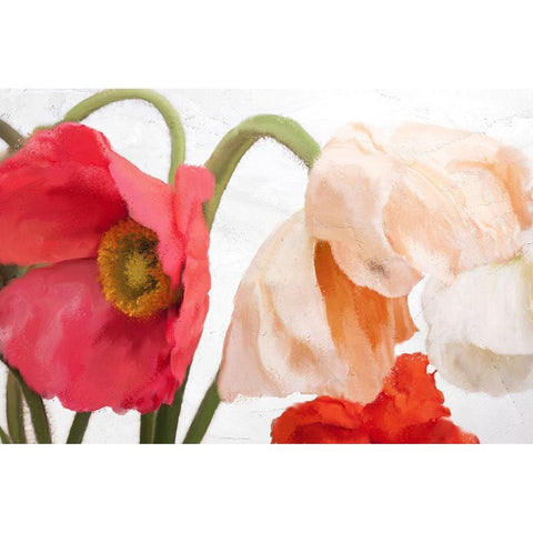Poppies Black Modern Wood Framed Art Print by Allen, Kimberly