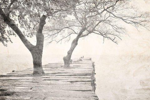 Tree Pier Black Ornate Wood Framed Art Print with Double Matting by Allen, Kimberly