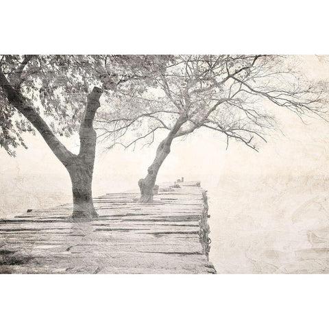 Tree Pier Black Modern Wood Framed Art Print by Allen, Kimberly