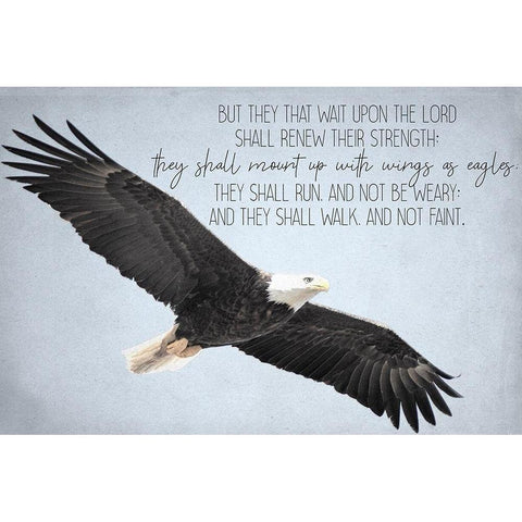 Wings White Modern Wood Framed Art Print by Allen, Kimberly