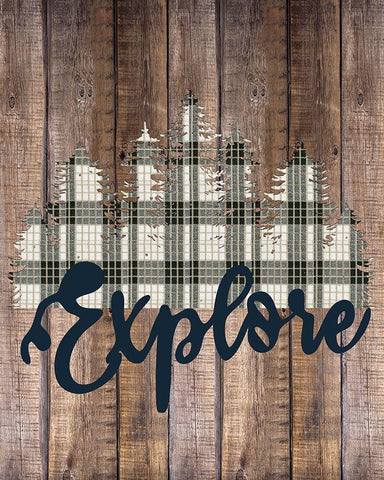 Explore Woods 2 Black Ornate Wood Framed Art Print with Double Matting by Allen, Kimberly