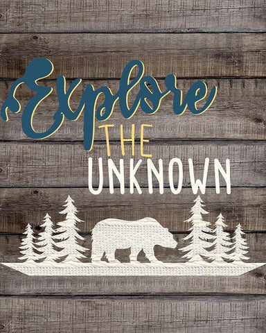 Wild Adventure 2 White Modern Wood Framed Art Print with Double Matting by Allen, Kimberly