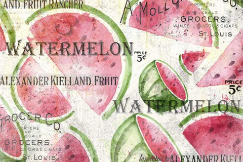 Watermelon Summer White Modern Wood Framed Art Print with Double Matting by Allen, Kimberly