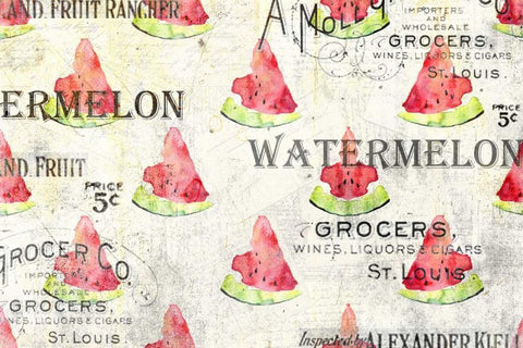 Watermelon Summer 2 White Modern Wood Framed Art Print with Double Matting by Allen, Kimberly
