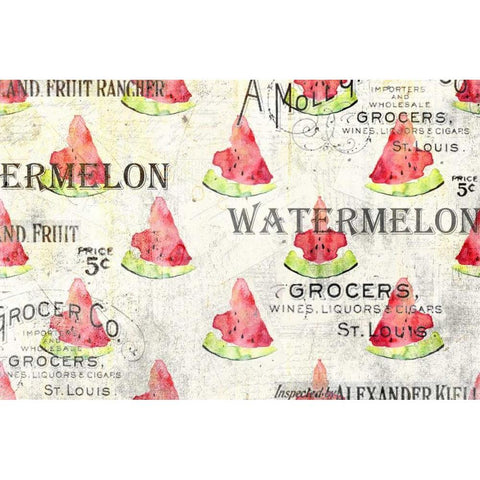 Watermelon Summer 2 Black Modern Wood Framed Art Print with Double Matting by Allen, Kimberly