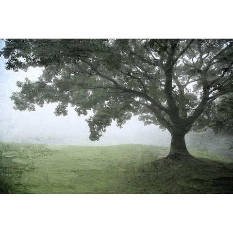 Foggy Greens Black Modern Wood Framed Art Print with Double Matting by Allen, Kimberly