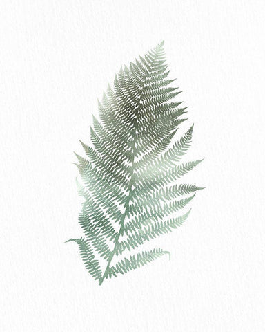 Watercolor Greens 2 Black Ornate Wood Framed Art Print with Double Matting by Allen, Kimberly