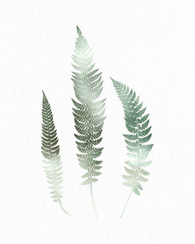 Watercolor Greens 3 Black Ornate Wood Framed Art Print with Double Matting by Allen, Kimberly