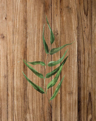 Leaf Wood 2 White Modern Wood Framed Art Print with Double Matting by Allen, Kimberly