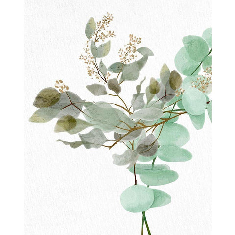 Eucalyptus 1 White Modern Wood Framed Art Print by Allen, Kimberly