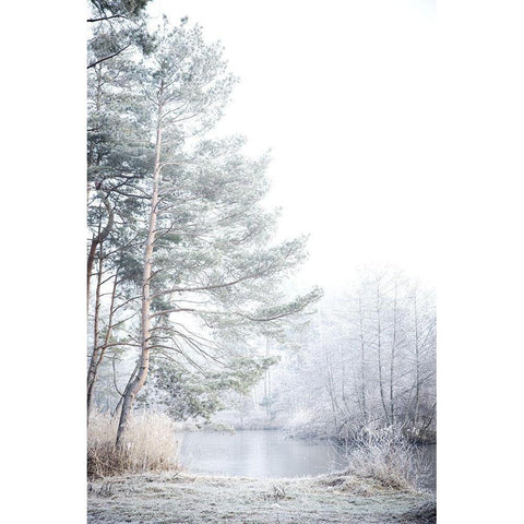 Silence Black Modern Wood Framed Art Print by Allen, Kimberly