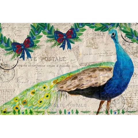 Christmas Postcard Peacock Black Modern Wood Framed Art Print with Double Matting by Allen, Kimberly