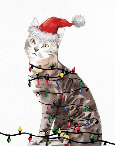 Kitten Lights 2 White Modern Wood Framed Art Print with Double Matting by Allen, Kimberly