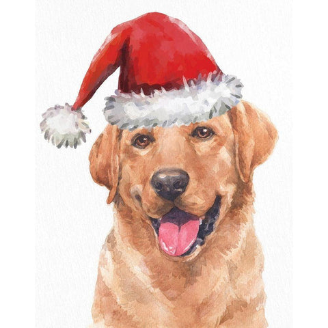 Yellow Lab Lights Gold Ornate Wood Framed Art Print with Double Matting by Allen, Kimberly