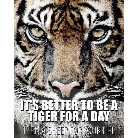 A Tiger for a Day Gold Ornate Wood Framed Art Print with Double Matting by Allen, Kimberly