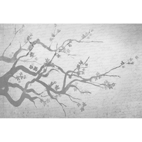 Cherry Blossom Branch in Silver Black Modern Wood Framed Art Print with Double Matting by Allen, Kimberly